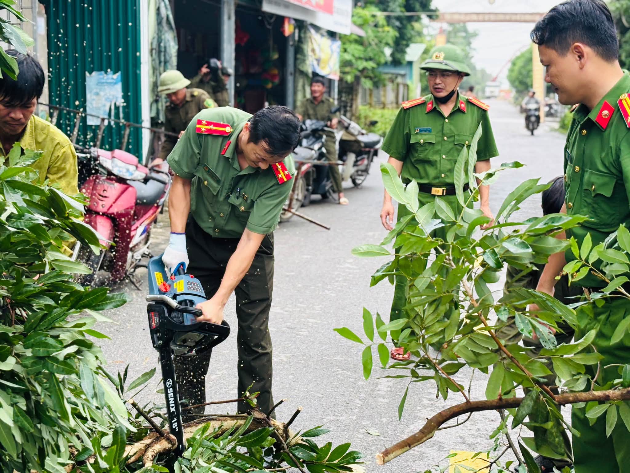 🌳 TIẾP TỤC RA QUÂN CẮT TỈA, XỬ LÝ CÂY XANH CÓ NGUY CƠ GÃY, ĐỔ TRƯỚC MÙA MƯA BÃO NĂM 2026 🌧️