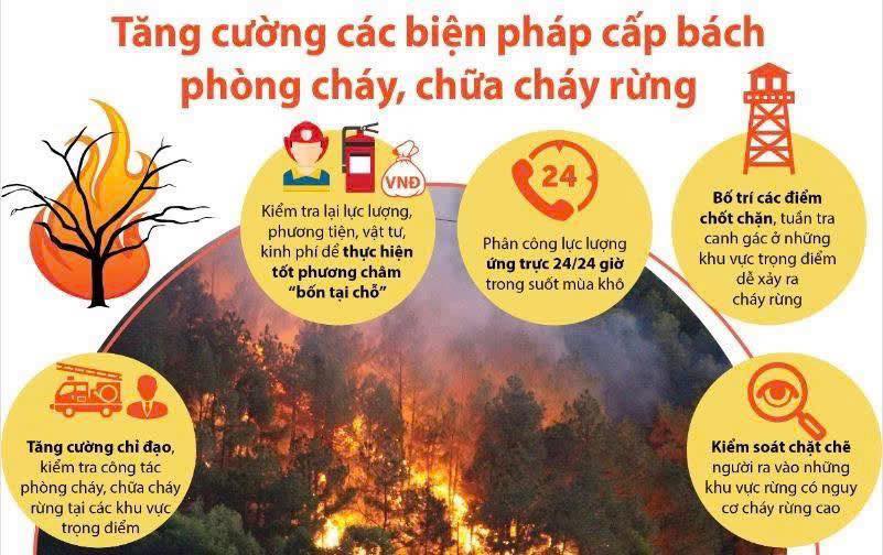 Cảnh báo cấp dự báo cháy rừng từ ngày 14/4 - 15/4