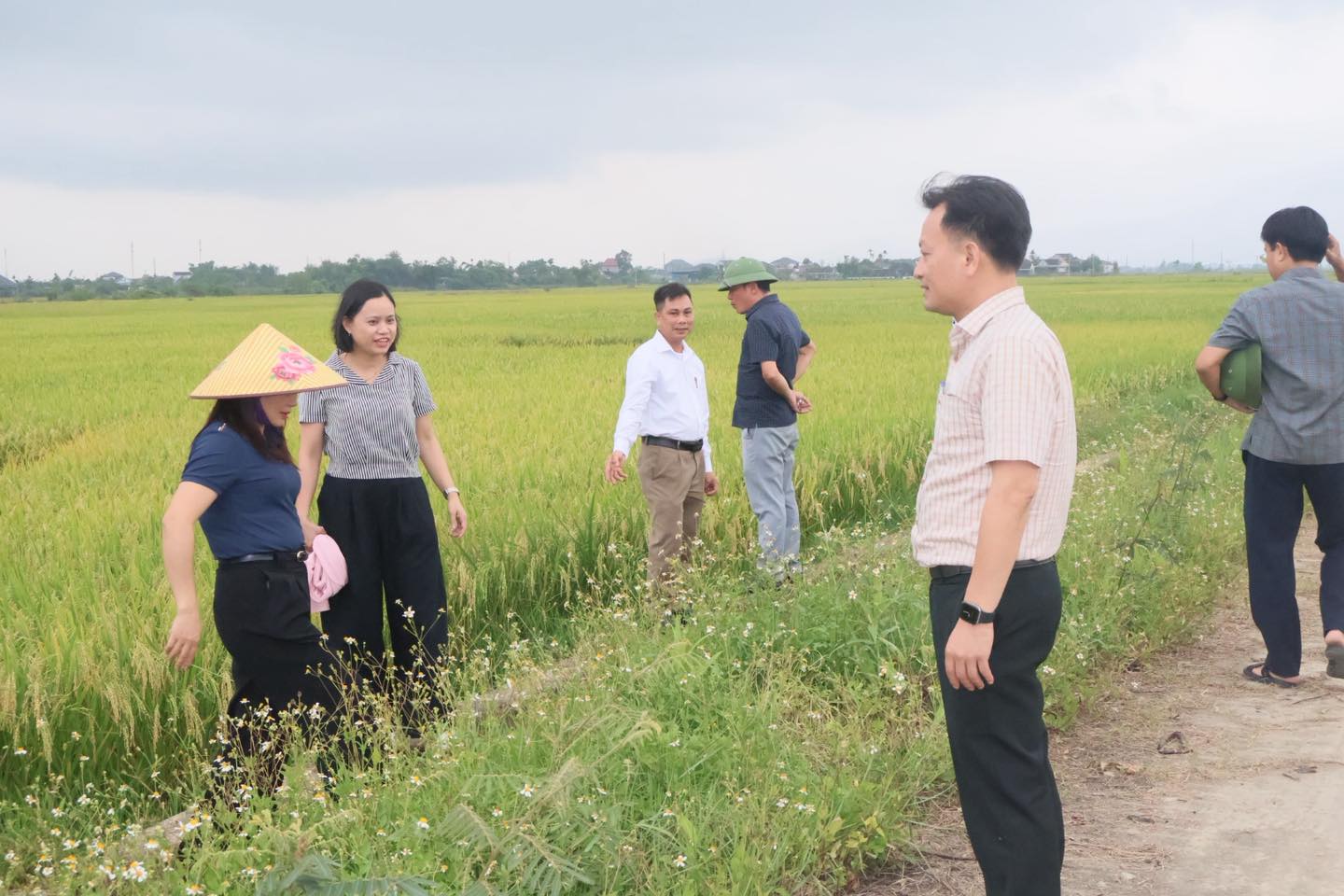 Lãnh đạo xã kiểm tra, thăm đồng vụ Xuân năm 2026